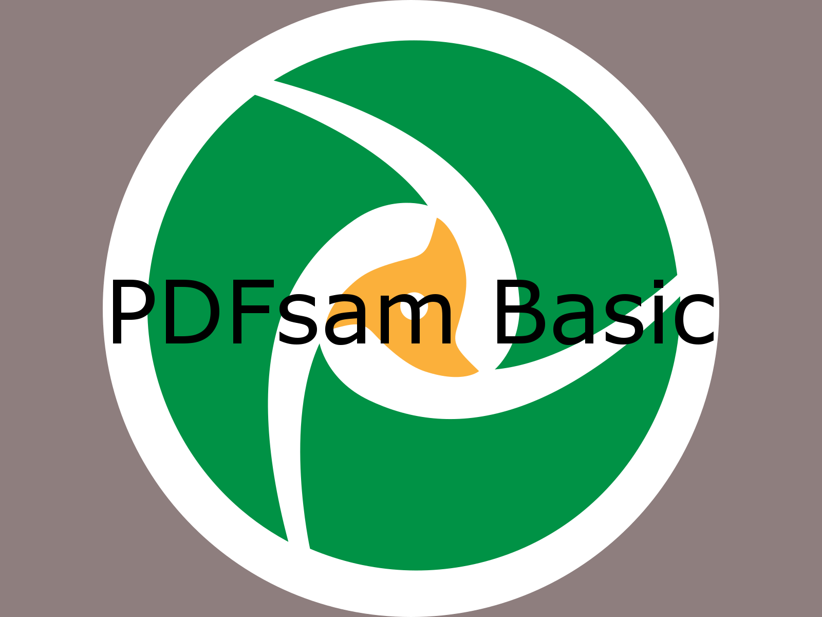 sam pdf basic